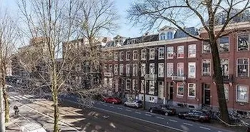 Tulip Apartment