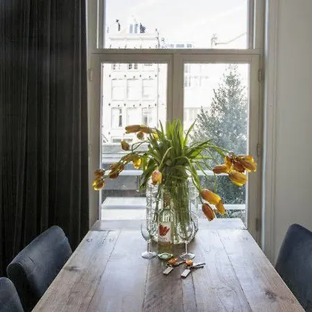 Tulip * Amsterdam